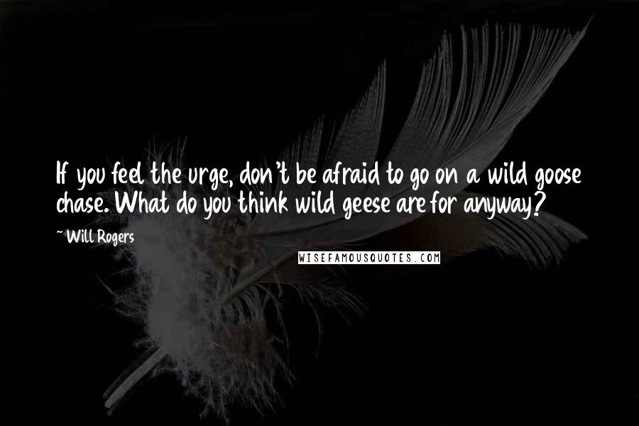Will Rogers Quotes: If you feel the urge, don't be afraid to go on a wild goose chase. What do you think wild geese are for anyway?