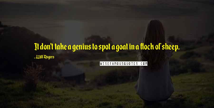 Will Rogers Quotes: It don't take a genius to spot a goat in a flock of sheep.