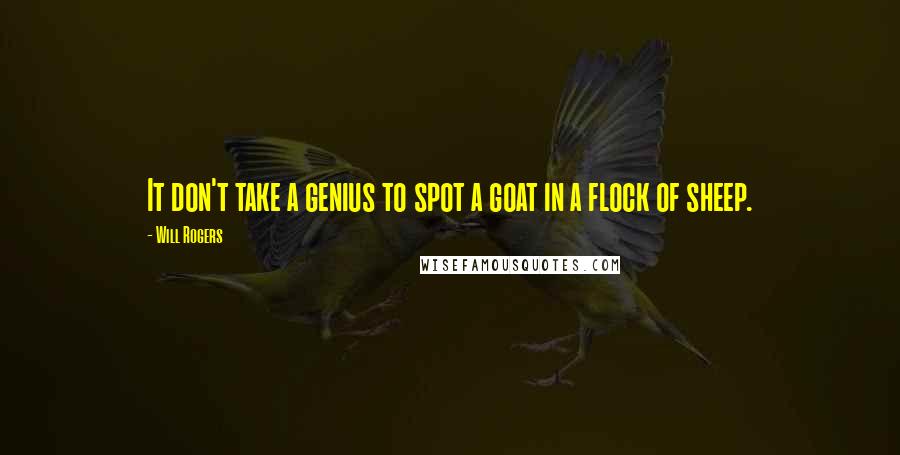 Will Rogers Quotes: It don't take a genius to spot a goat in a flock of sheep.