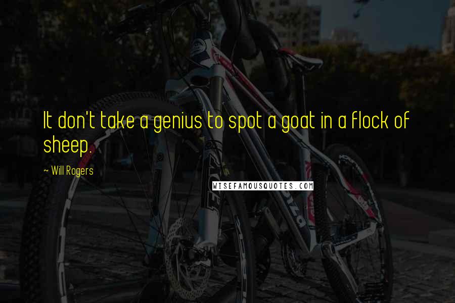 Will Rogers Quotes: It don't take a genius to spot a goat in a flock of sheep.