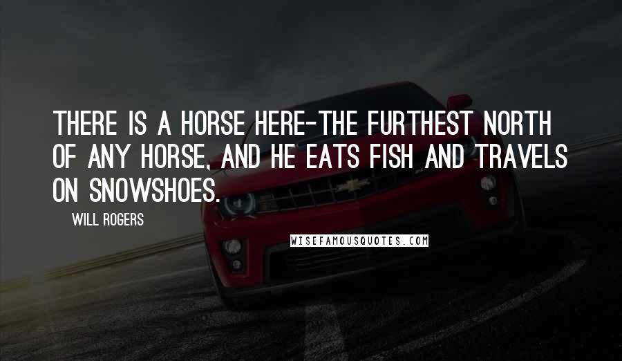 Will Rogers Quotes: There is a horse here-the furthest north of any horse, and he eats fish and travels on snowshoes.