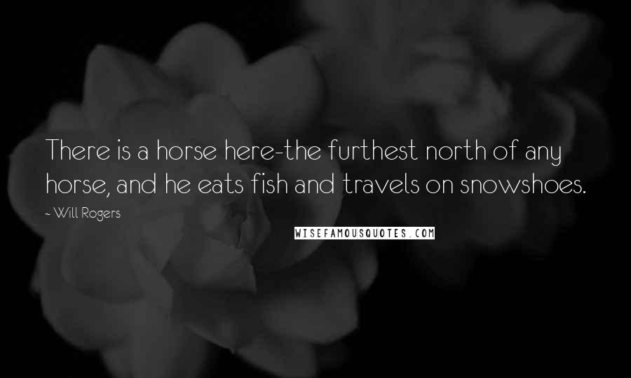 Will Rogers Quotes: There is a horse here-the furthest north of any horse, and he eats fish and travels on snowshoes.