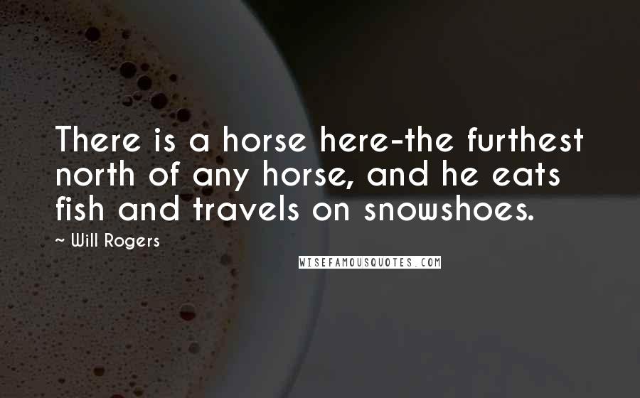 Will Rogers Quotes: There is a horse here-the furthest north of any horse, and he eats fish and travels on snowshoes.