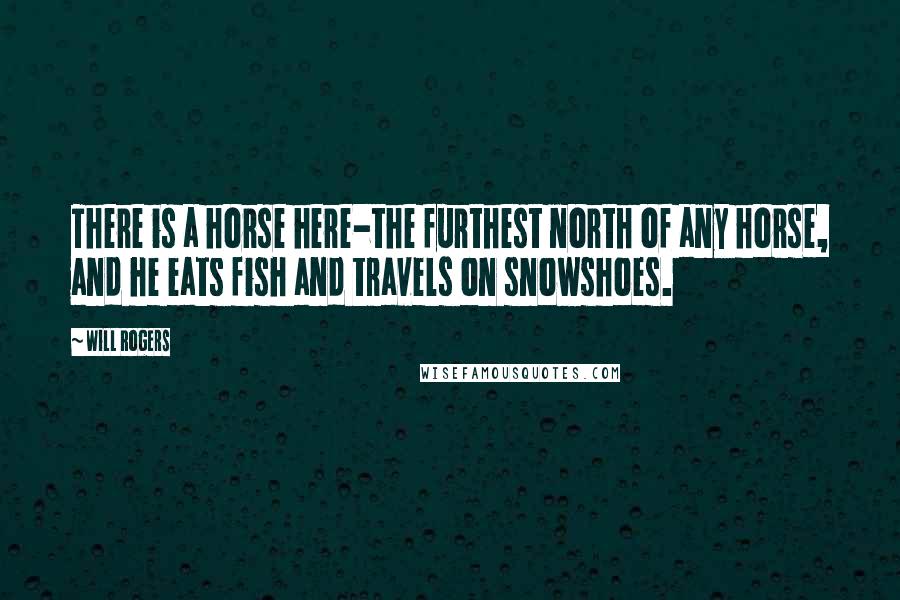 Will Rogers Quotes: There is a horse here-the furthest north of any horse, and he eats fish and travels on snowshoes.