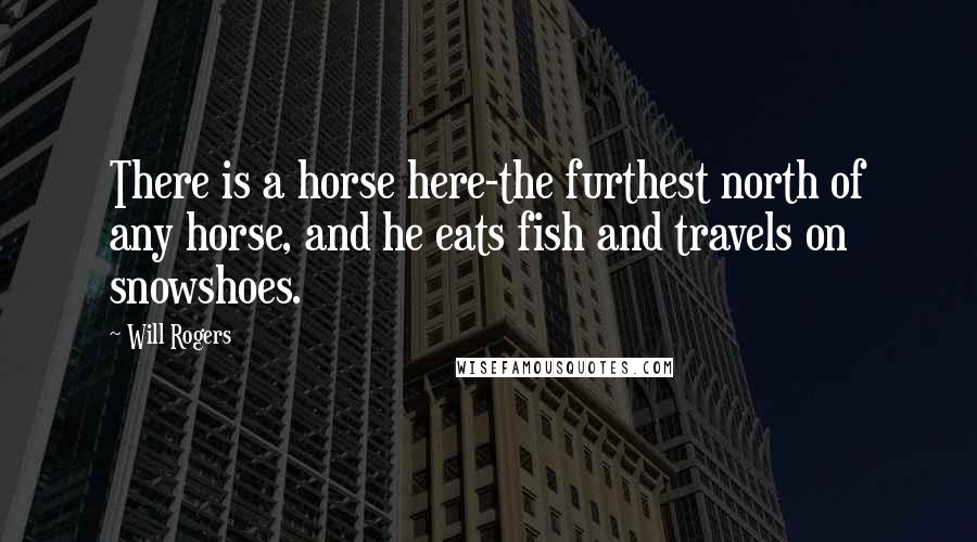 Will Rogers Quotes: There is a horse here-the furthest north of any horse, and he eats fish and travels on snowshoes.