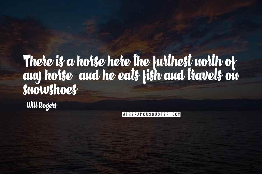 Will Rogers Quotes: There is a horse here-the furthest north of any horse, and he eats fish and travels on snowshoes.