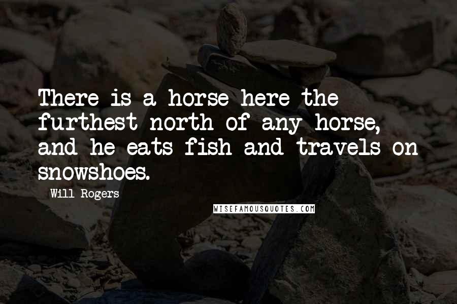 Will Rogers Quotes: There is a horse here-the furthest north of any horse, and he eats fish and travels on snowshoes.