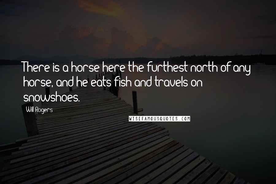 Will Rogers Quotes: There is a horse here-the furthest north of any horse, and he eats fish and travels on snowshoes.
