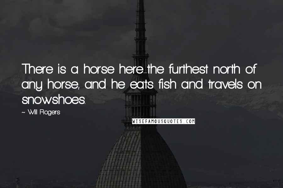 Will Rogers Quotes: There is a horse here-the furthest north of any horse, and he eats fish and travels on snowshoes.