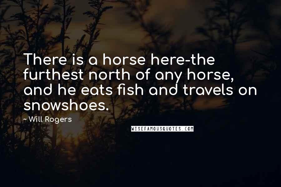 Will Rogers Quotes: There is a horse here-the furthest north of any horse, and he eats fish and travels on snowshoes.