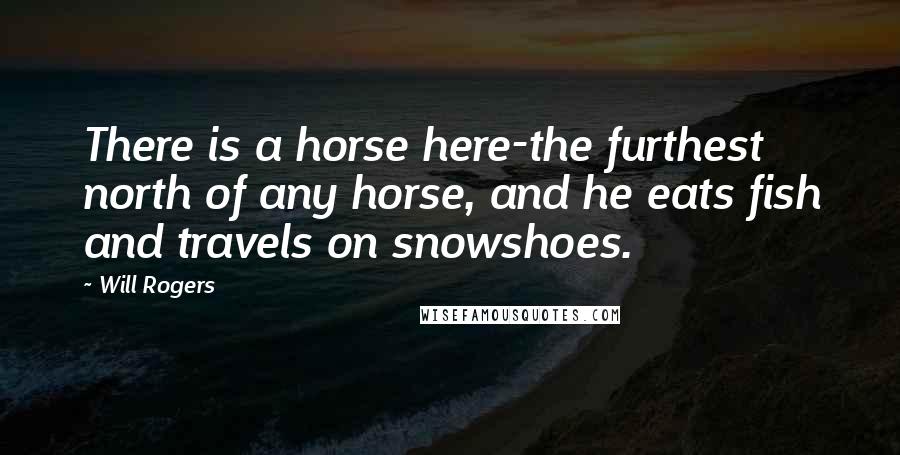 Will Rogers Quotes: There is a horse here-the furthest north of any horse, and he eats fish and travels on snowshoes.