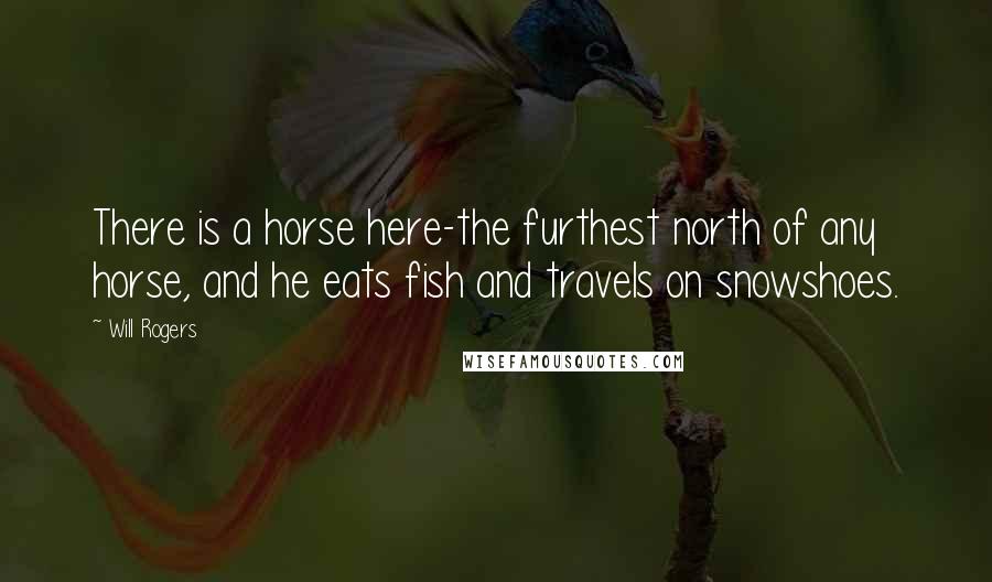 Will Rogers Quotes: There is a horse here-the furthest north of any horse, and he eats fish and travels on snowshoes.