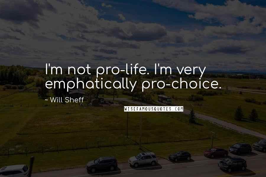 Will Sheff Quotes: I'm not pro-life. I'm very emphatically pro-choice.