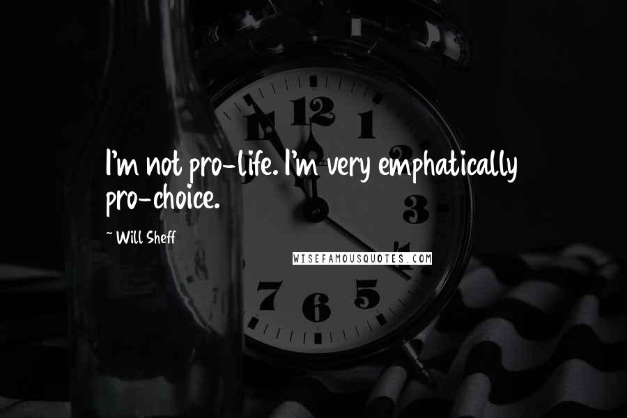 Will Sheff Quotes: I'm not pro-life. I'm very emphatically pro-choice.