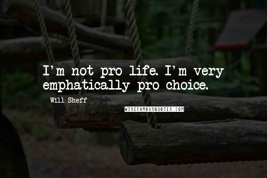 Will Sheff Quotes: I'm not pro-life. I'm very emphatically pro-choice.