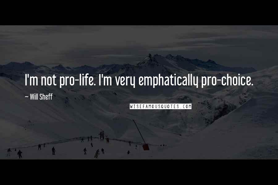 Will Sheff Quotes: I'm not pro-life. I'm very emphatically pro-choice.