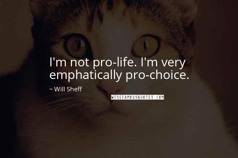 Will Sheff Quotes: I'm not pro-life. I'm very emphatically pro-choice.