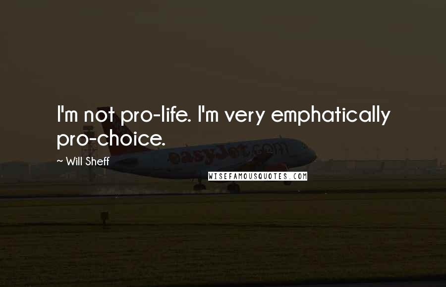 Will Sheff Quotes: I'm not pro-life. I'm very emphatically pro-choice.