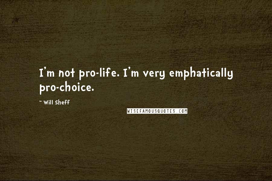 Will Sheff Quotes: I'm not pro-life. I'm very emphatically pro-choice.