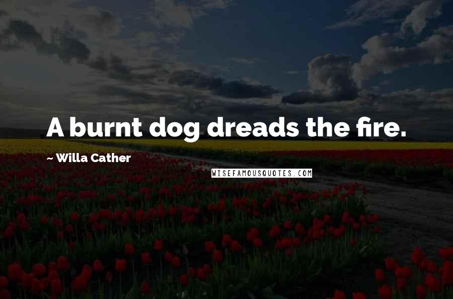 Willa Cather Quotes: A burnt dog dreads the fire.