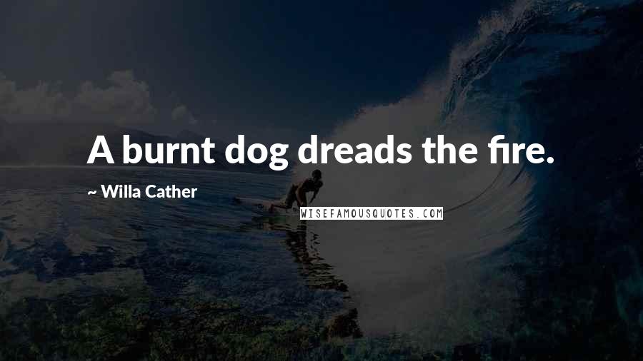 Willa Cather Quotes: A burnt dog dreads the fire.