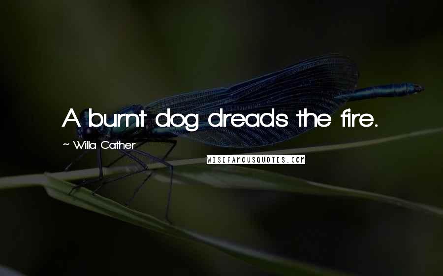 Willa Cather Quotes: A burnt dog dreads the fire.