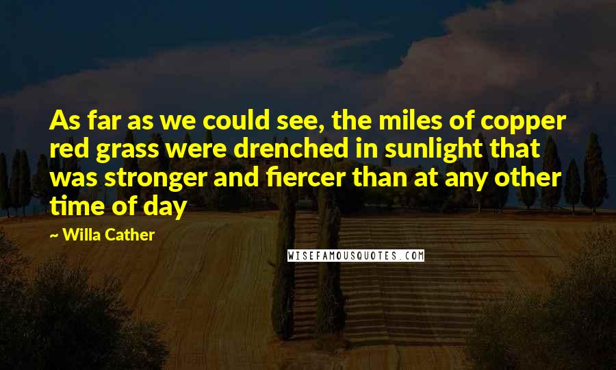 Willa Cather Quotes: As far as we could see, the miles of copper red grass were drenched in sunlight that was stronger and fiercer than at any other time of day