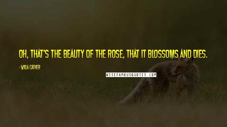 Willa Cather Quotes: Oh, that's the beauty of the rose, that it blossoms and dies.