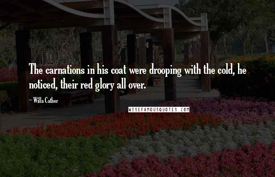 Willa Cather Quotes: The carnations in his coat were drooping with the cold, he noticed, their red glory all over.