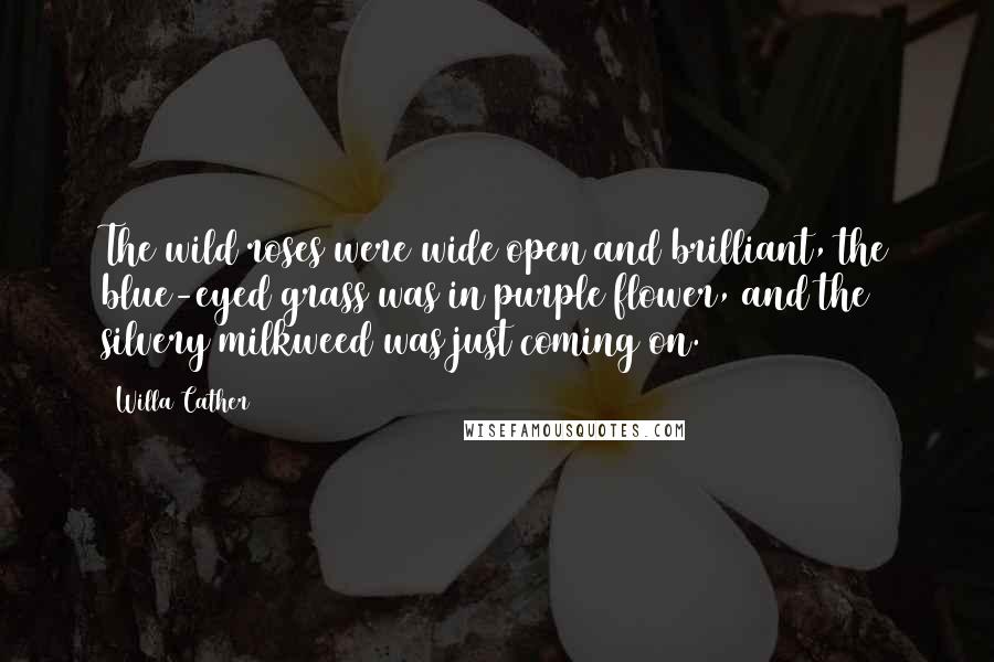 Willa Cather Quotes: The wild roses were wide open and brilliant, the blue-eyed grass was in purple flower, and the silvery milkweed was just coming on.