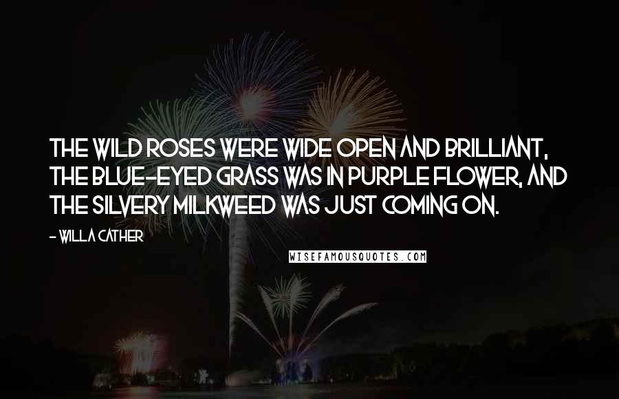 Willa Cather Quotes: The wild roses were wide open and brilliant, the blue-eyed grass was in purple flower, and the silvery milkweed was just coming on.