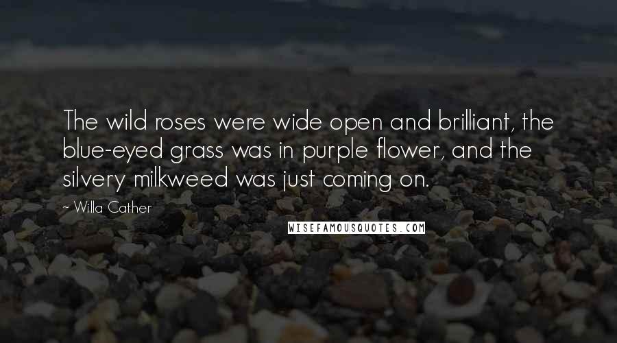 Willa Cather Quotes: The wild roses were wide open and brilliant, the blue-eyed grass was in purple flower, and the silvery milkweed was just coming on.