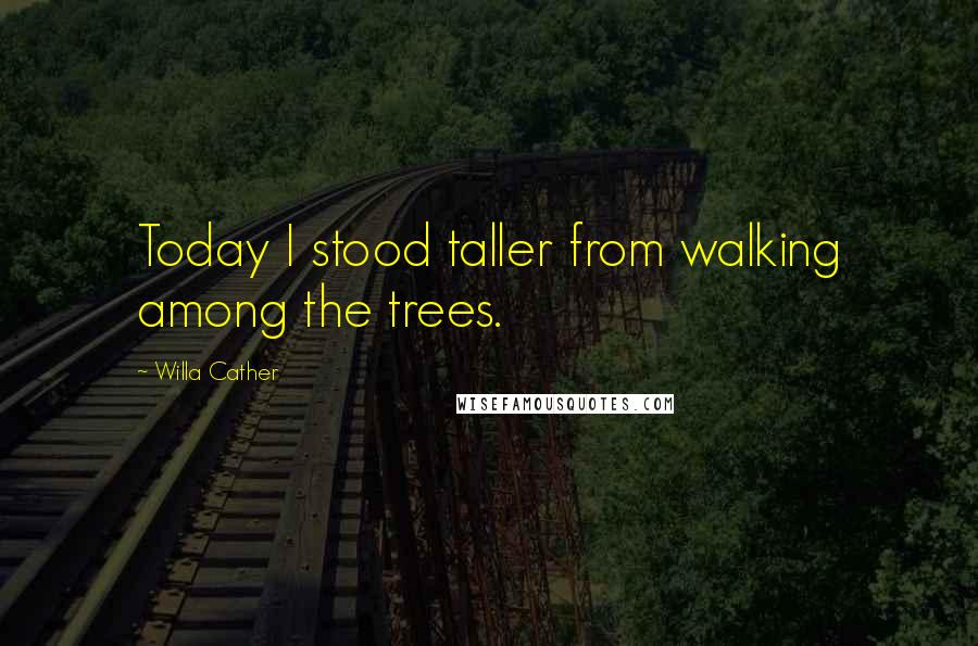 Willa Cather Quotes: Today I stood taller from walking among the trees.