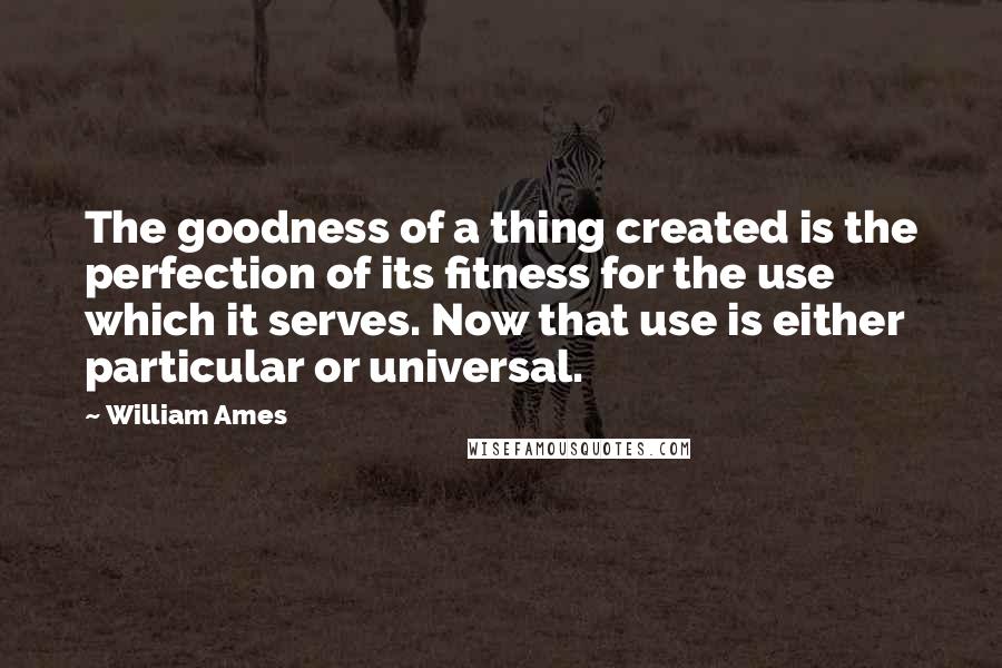 William Ames Quotes: The goodness of a thing created is the perfection of its fitness for the use which it serves. Now that use is either particular or universal.