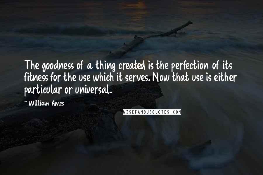 William Ames Quotes: The goodness of a thing created is the perfection of its fitness for the use which it serves. Now that use is either particular or universal.