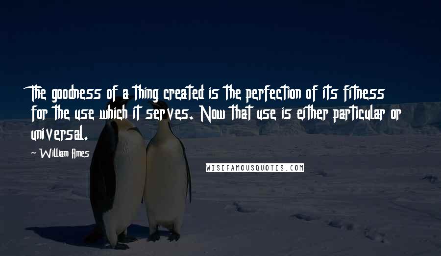 William Ames Quotes: The goodness of a thing created is the perfection of its fitness for the use which it serves. Now that use is either particular or universal.