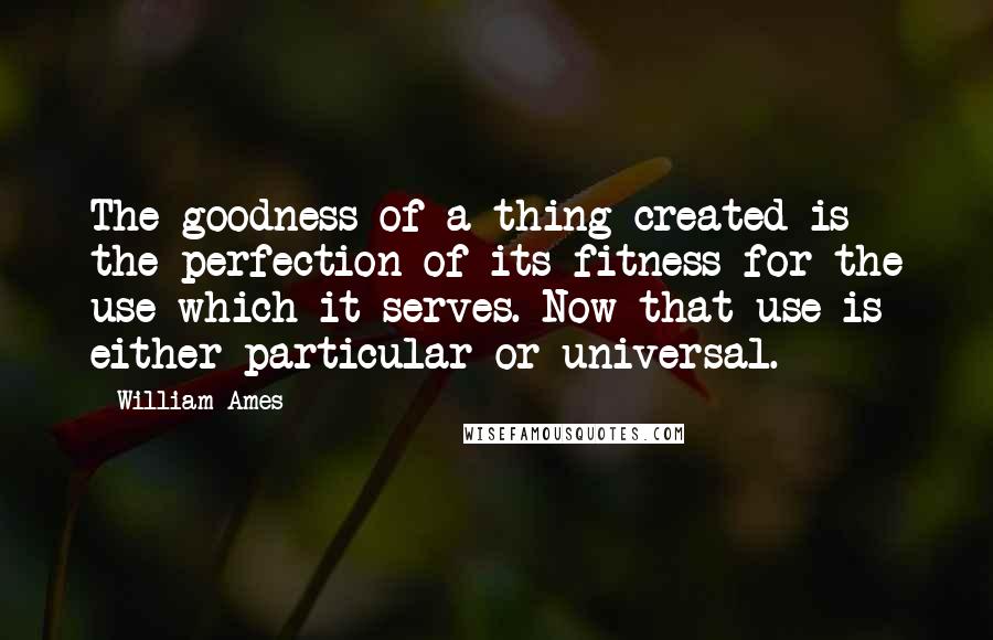 William Ames Quotes: The goodness of a thing created is the perfection of its fitness for the use which it serves. Now that use is either particular or universal.