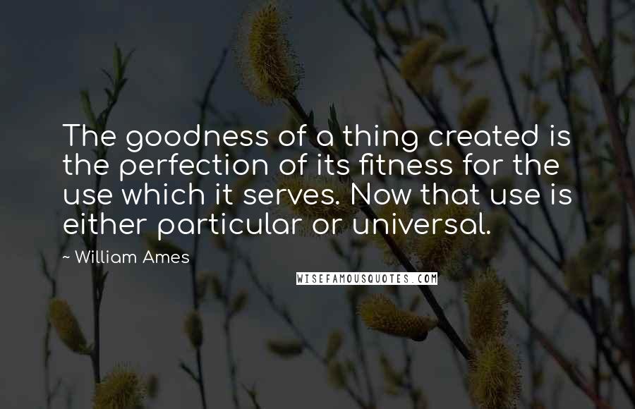 William Ames Quotes: The goodness of a thing created is the perfection of its fitness for the use which it serves. Now that use is either particular or universal.