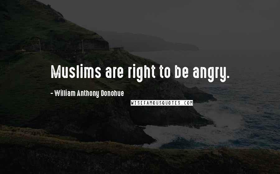 William Anthony Donohue Quotes: Muslims are right to be angry.
