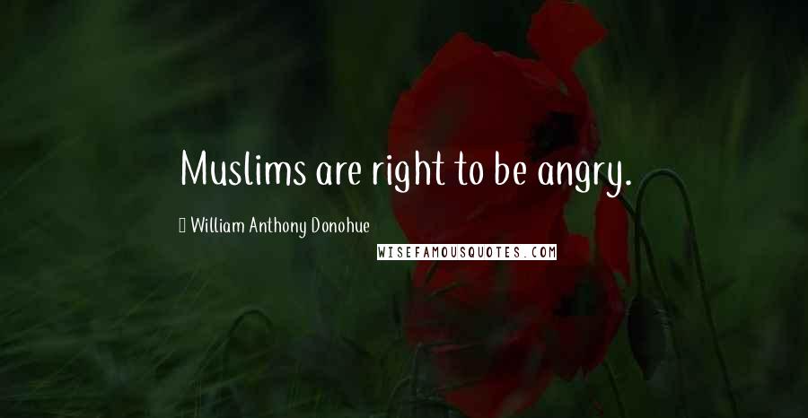 William Anthony Donohue Quotes: Muslims are right to be angry.