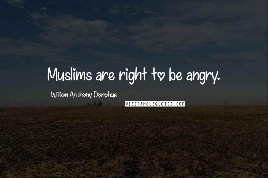 William Anthony Donohue Quotes: Muslims are right to be angry.