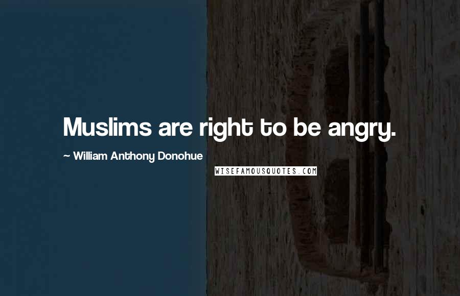 William Anthony Donohue Quotes: Muslims are right to be angry.