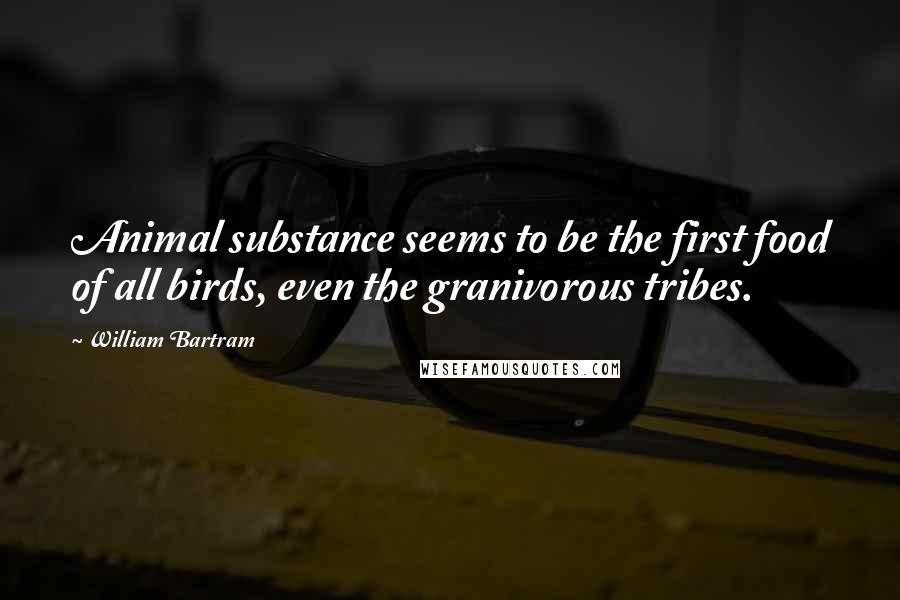 William Bartram Quotes: Animal substance seems to be the first food of all birds, even the granivorous tribes.