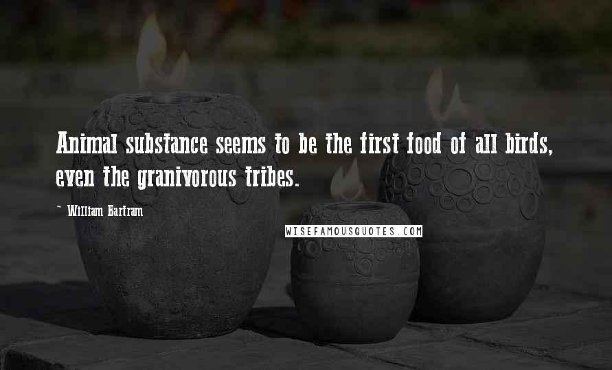William Bartram Quotes: Animal substance seems to be the first food of all birds, even the granivorous tribes.
