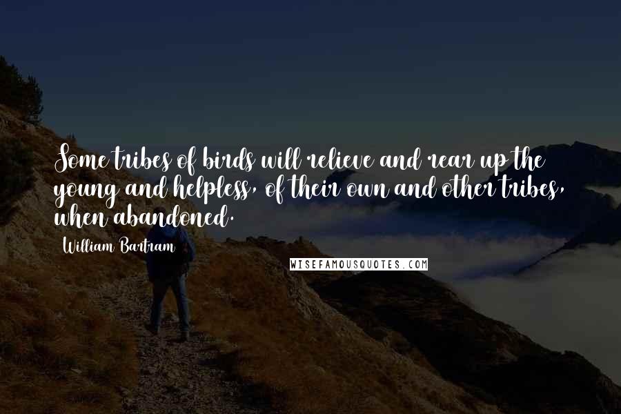 William Bartram Quotes: Some tribes of birds will relieve and rear up the young and helpless, of their own and other tribes, when abandoned.