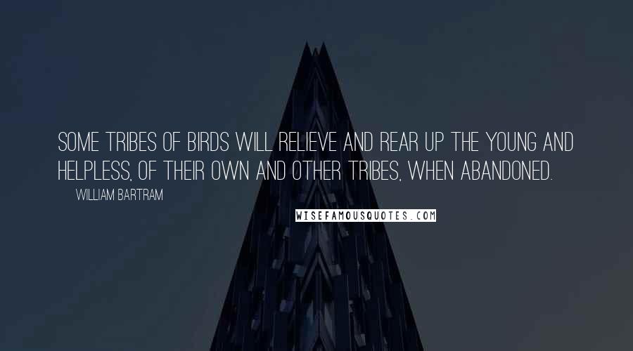 William Bartram Quotes: Some tribes of birds will relieve and rear up the young and helpless, of their own and other tribes, when abandoned.