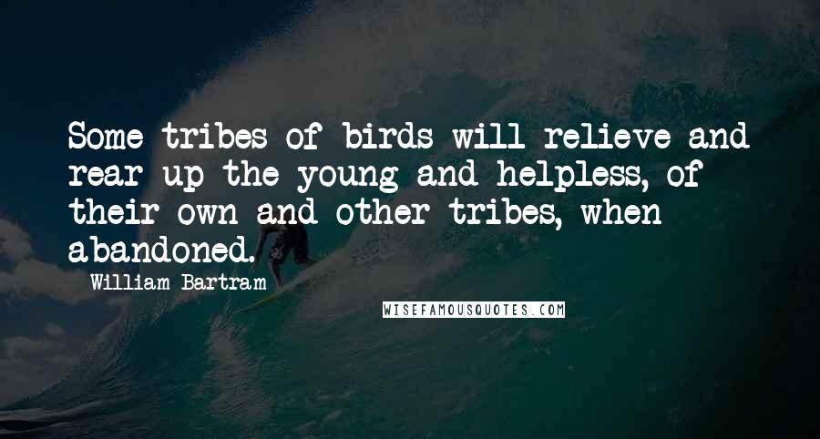 William Bartram Quotes: Some tribes of birds will relieve and rear up the young and helpless, of their own and other tribes, when abandoned.