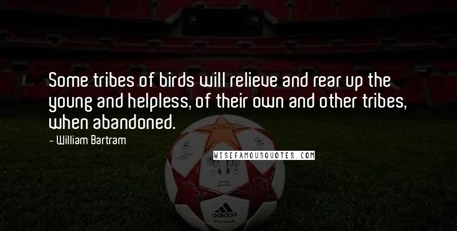 William Bartram Quotes: Some tribes of birds will relieve and rear up the young and helpless, of their own and other tribes, when abandoned.