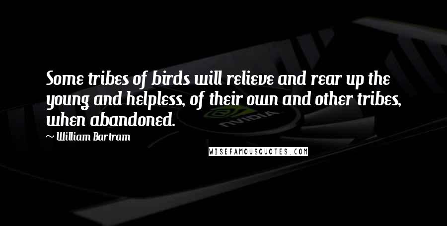 William Bartram Quotes: Some tribes of birds will relieve and rear up the young and helpless, of their own and other tribes, when abandoned.