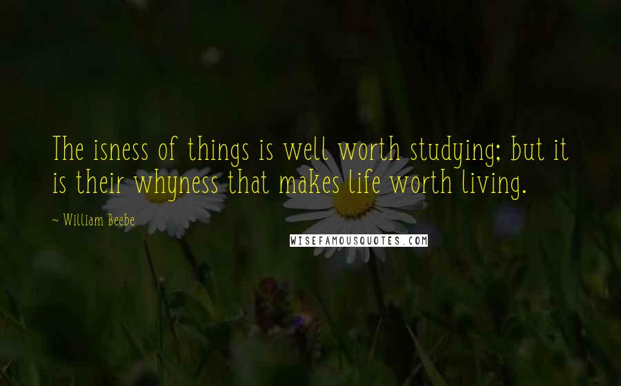 William Beebe Quotes: The isness of things is well worth studying; but it is their whyness that makes life worth living.